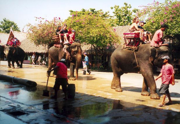 olifant reizen